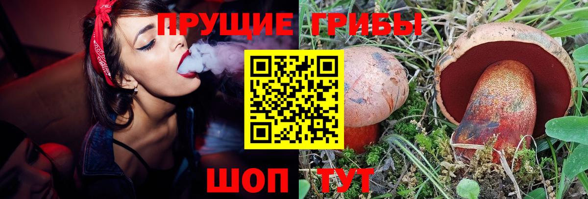 Галлюциногенные грибы GOLDEN TEACHER  Вход с VPN  Сегежа  Псилоцибиновые грибы Cubensis 