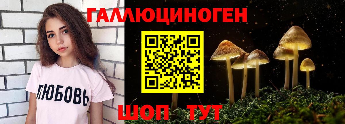 Галлюциногенные грибы прущие грибы Сегежа